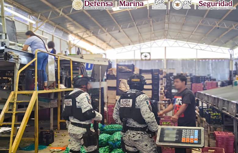 Autoridades federales y estatales detienen a 17 personas, aseguran 10 armas de fuego y vehículos en Michoacán 