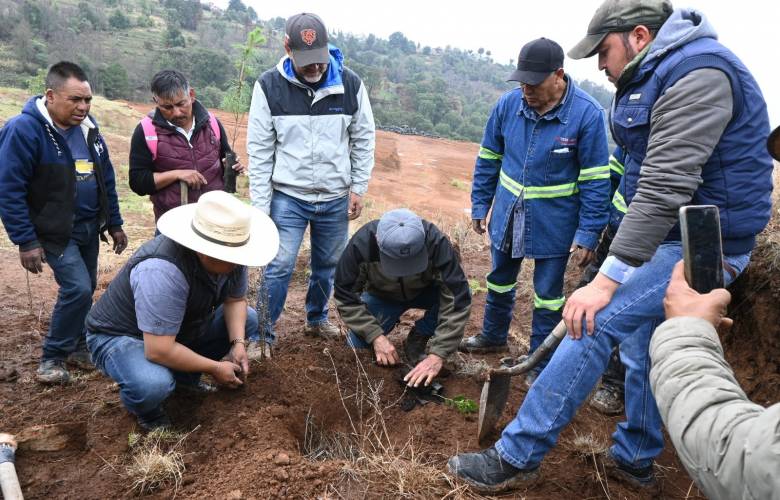 Suman esfuerzos Temoaya y Probosque en la recuperación de los ecosistemas forestales 