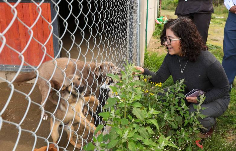 Avanza UAEMéx en construcción de una Agenda Universitaria de Bienestar Animal