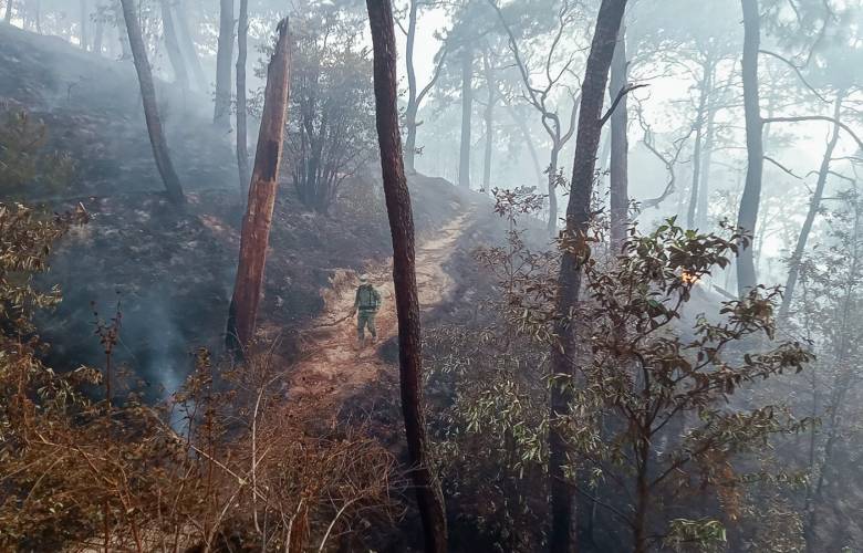 Gobierno del Estado de México sofoca la totalidad de los incendios forestales registrados en el municipio de Valle de Bravo