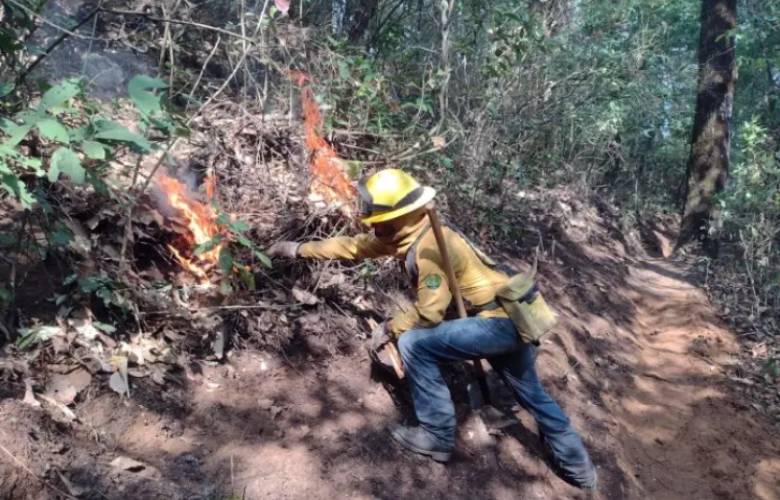 Reportan liquidación de incendios forestales en Ocuilan