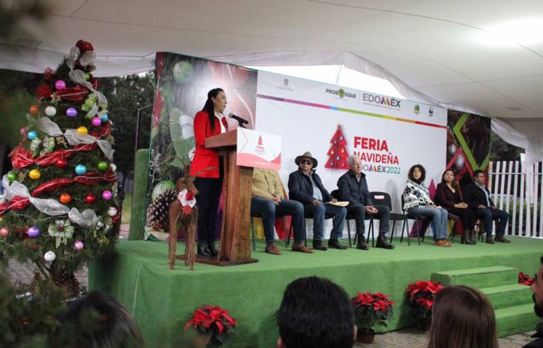 Edomex en Primer Lugar en producción de Arboles de Navidad, se reporta listo para la temporada