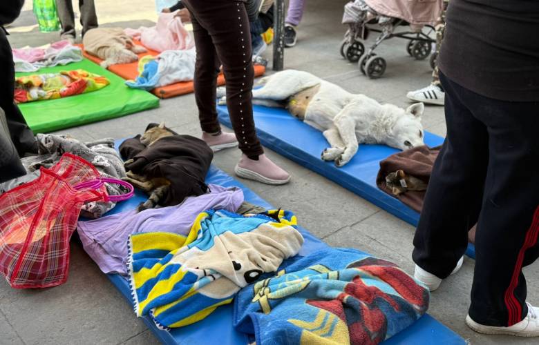 Impulsa Ricardo Moreno jornada gratuita de esterilización en Toluca