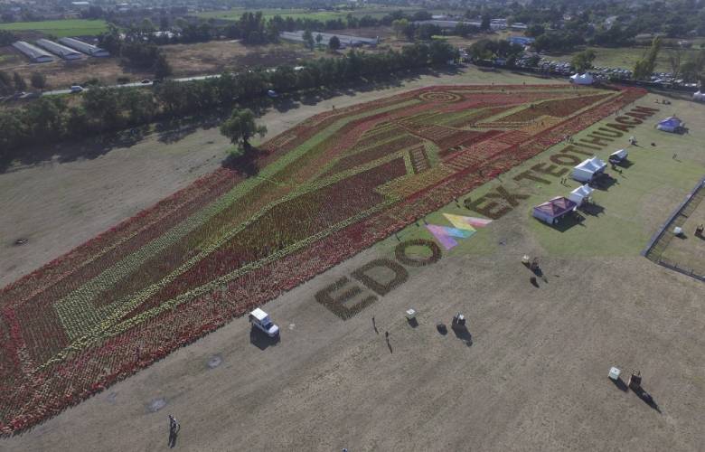 Rompe edoméx record guinness por el tapete floral más grande del mundo