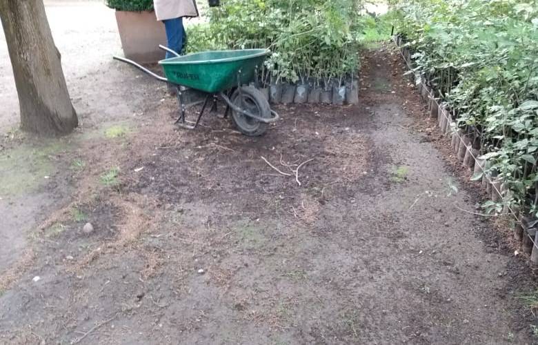 Para embellecer la capital, Toluca produce sus propias plantas 