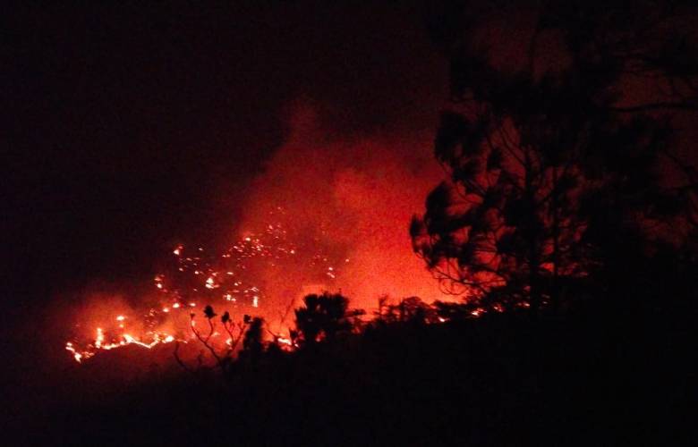  Urge acción federal para frenar incendio forestal que arrasa con 2 mil hectáreas de bosques en la Chontal