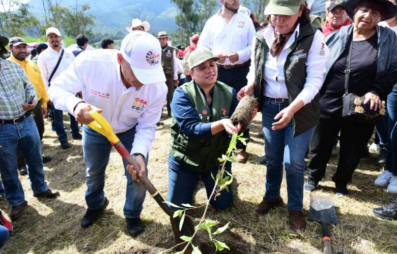 Restaura GEM parque estatal Sierra de Guadalupe, pulmón verde del Valle de México
