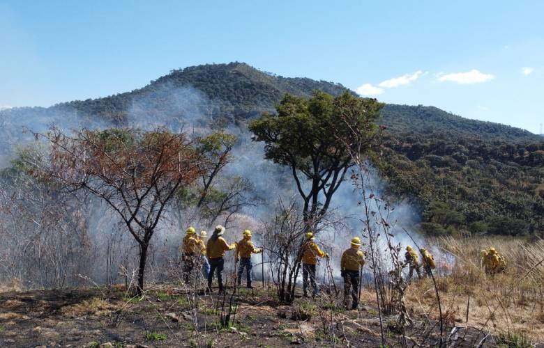 ¡Prevenir es mejor que combatir! Gobierno del EdoMéx reduce incendios en 56 porciento con estrategia de prevención