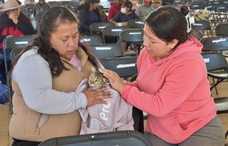 Regula EdoMéx tenencia responsable de animales con nueva ley de bienestar