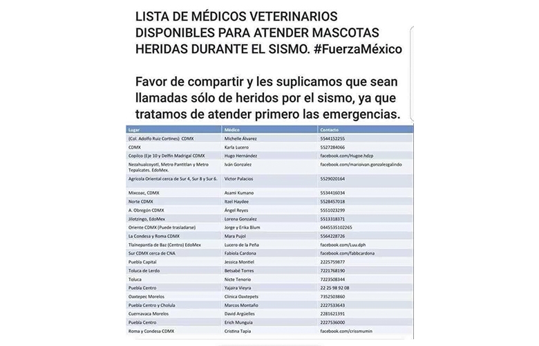 Veterinarios para mascotas afectadas por sismos