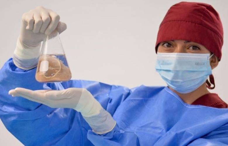 En su segundo año de gobierno, la Maestra Delfina Gómez consolida al Banco de Tejidos como referente nacional