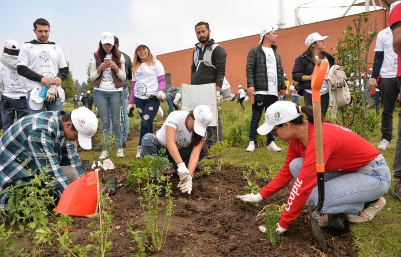 Impulsa EdoMéx protección de polinizadores con 315 jardines