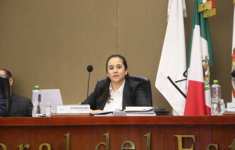 Proceso electoral 2023 fortalecerá la democracia mexiquense: consejera Amalia Pulido 