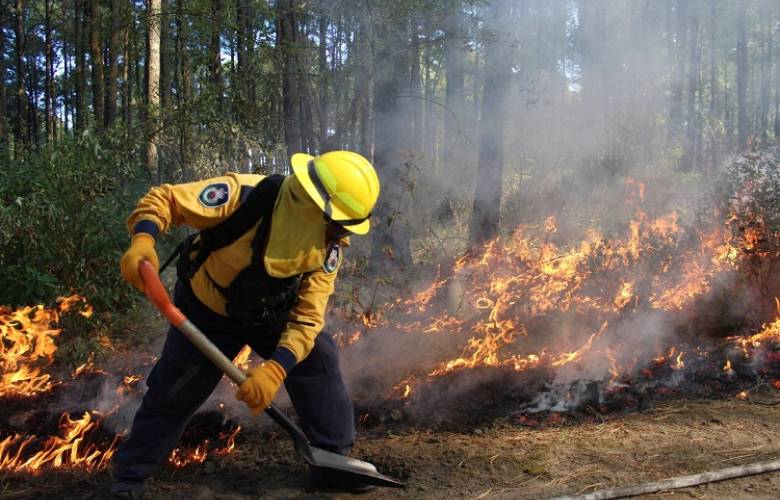 Arranca 2018 con 47% menos incendios forestales que en 2017*