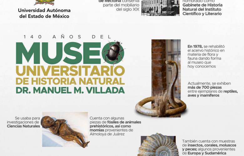Cuenta UAEMéx con 140 años de historia natural, a través del Museo Universitario “Dr. Manuel M. Villada”