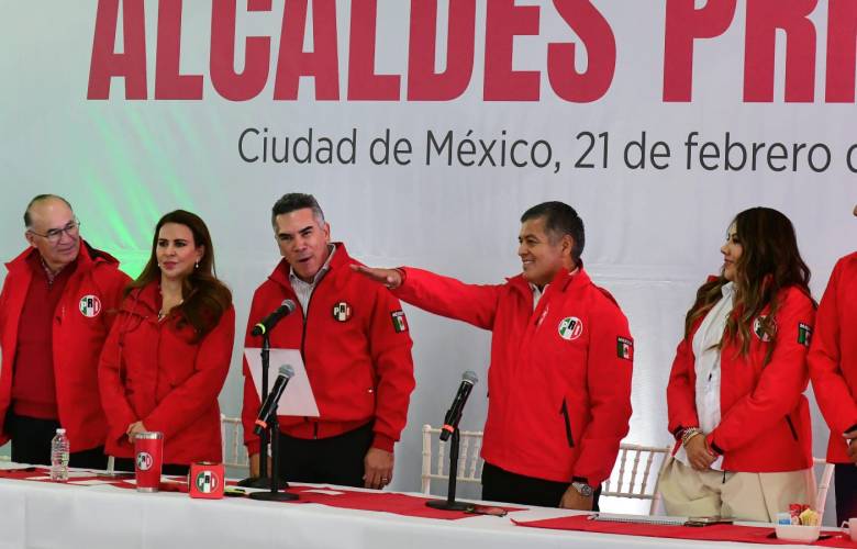 Eligen a David Sánchez Isidoro como presidente de la FENAMM