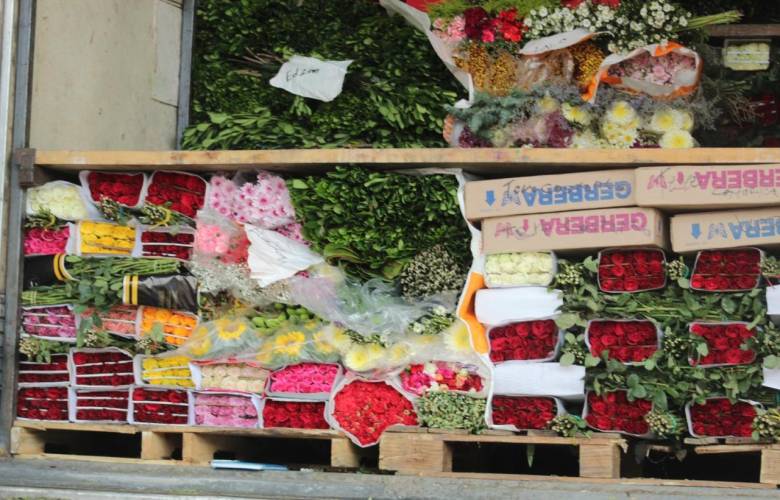 Es Estado de México centro de la floricultura nacional: Secretaría del Campo