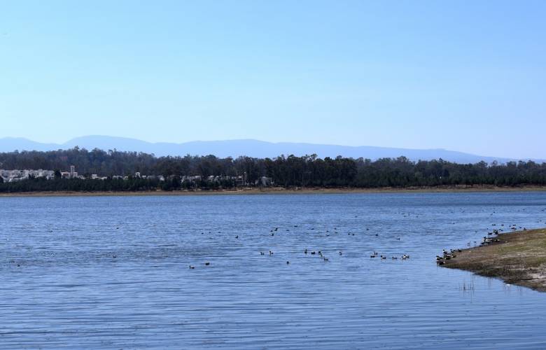 Caem y conagua coordinan acciones para sanear lago de guadalupeÂ 