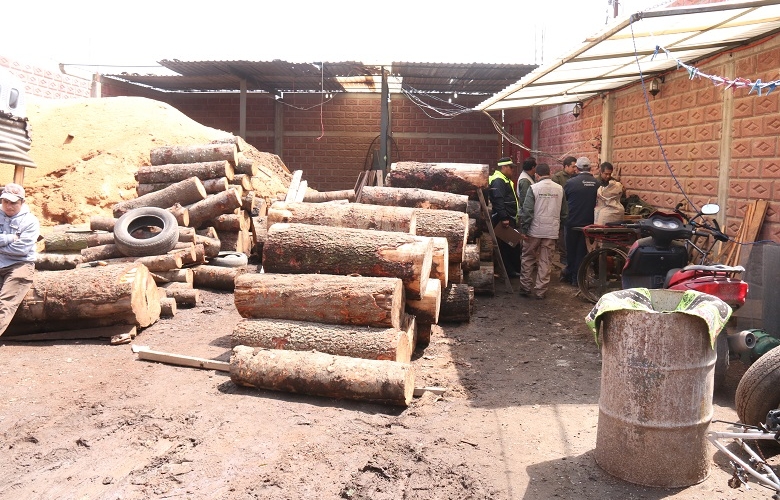 Decomisa probosque en este año mil 700 metros cúbicos de madera de procedencia ilegal