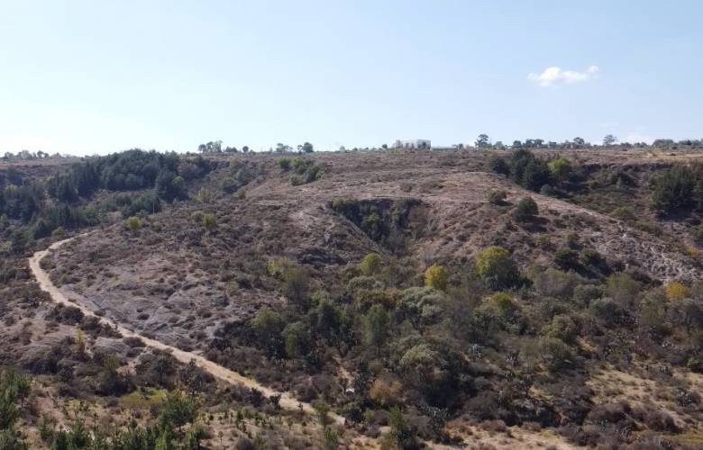 Representa Camino Real de tierra adentro una ruta de comercio, colonización y evangelización en México