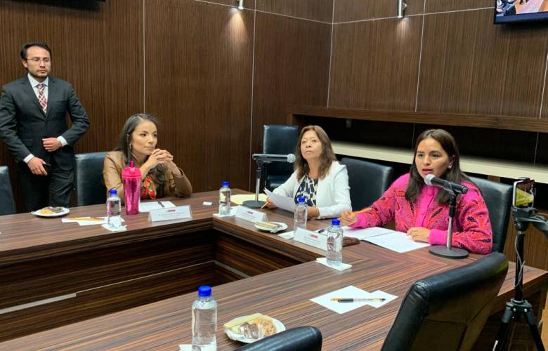 Titular de IMEJ y Consejo de la Juventud deberán explicar por qué no han convocado a diputados a las sesiones