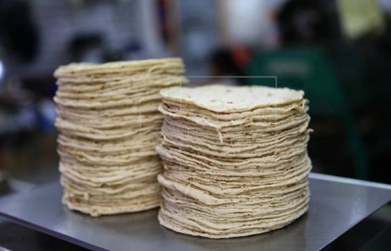 Productores prevén desabasto de tortillas si no se estabilizan los precios del maíz en méxico