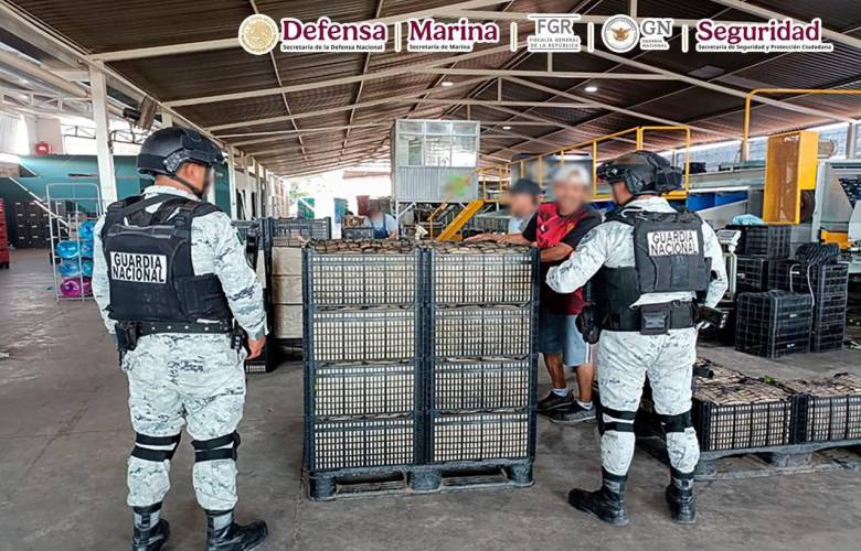 Autoridades federales y estatales detienen a 10 personas en Michoacán 