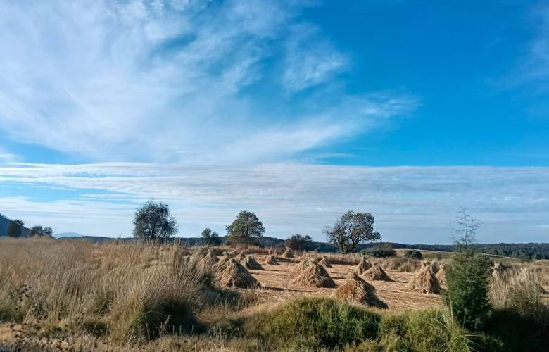 Suspende EdoMéx Contingencia Ambiental Atmosférica Fase I