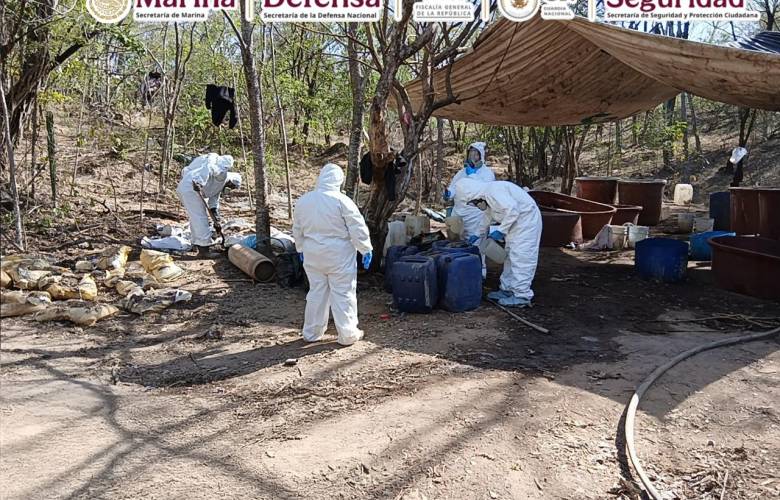 Autoridades federales desmantelan y destruyen laboratorios clandestinos en Durango, Sinaloa y Michoacán 