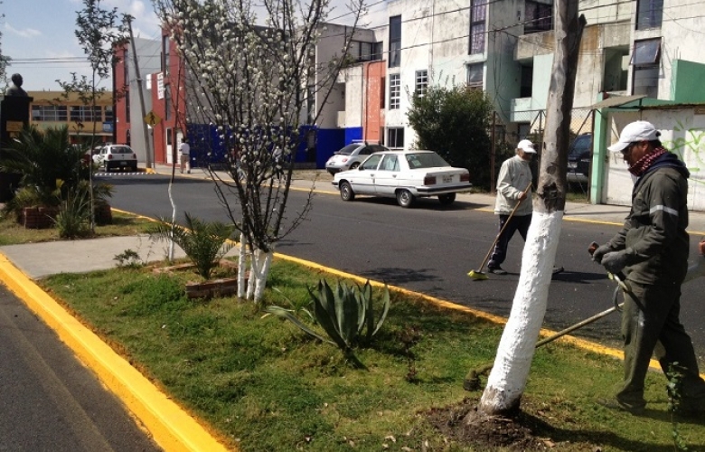 Entra el municipio al arreglo de áreas verdes en infonavit san francisco