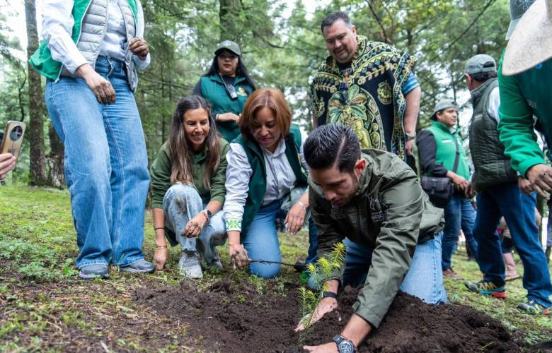 Ocoyoacac supera la meta ambiental: 32 mil árboles sembrados