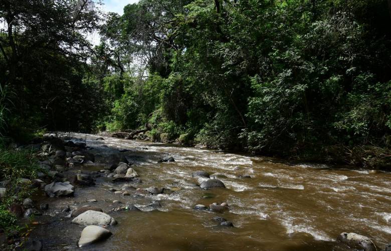 Abre Gobierno del Estado de México convocatoria de Programas Forestales 2026 | #OscarGlenn