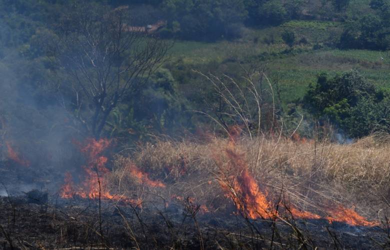 Implementa Edoméx plan preventivo contra incendios forestales en la región sur